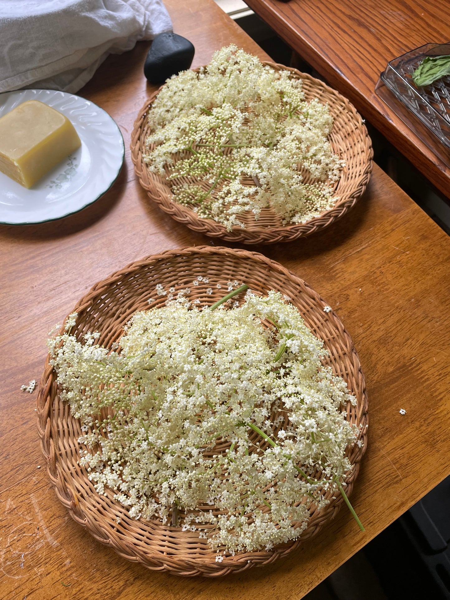 Chamomile & Elderflower tincture