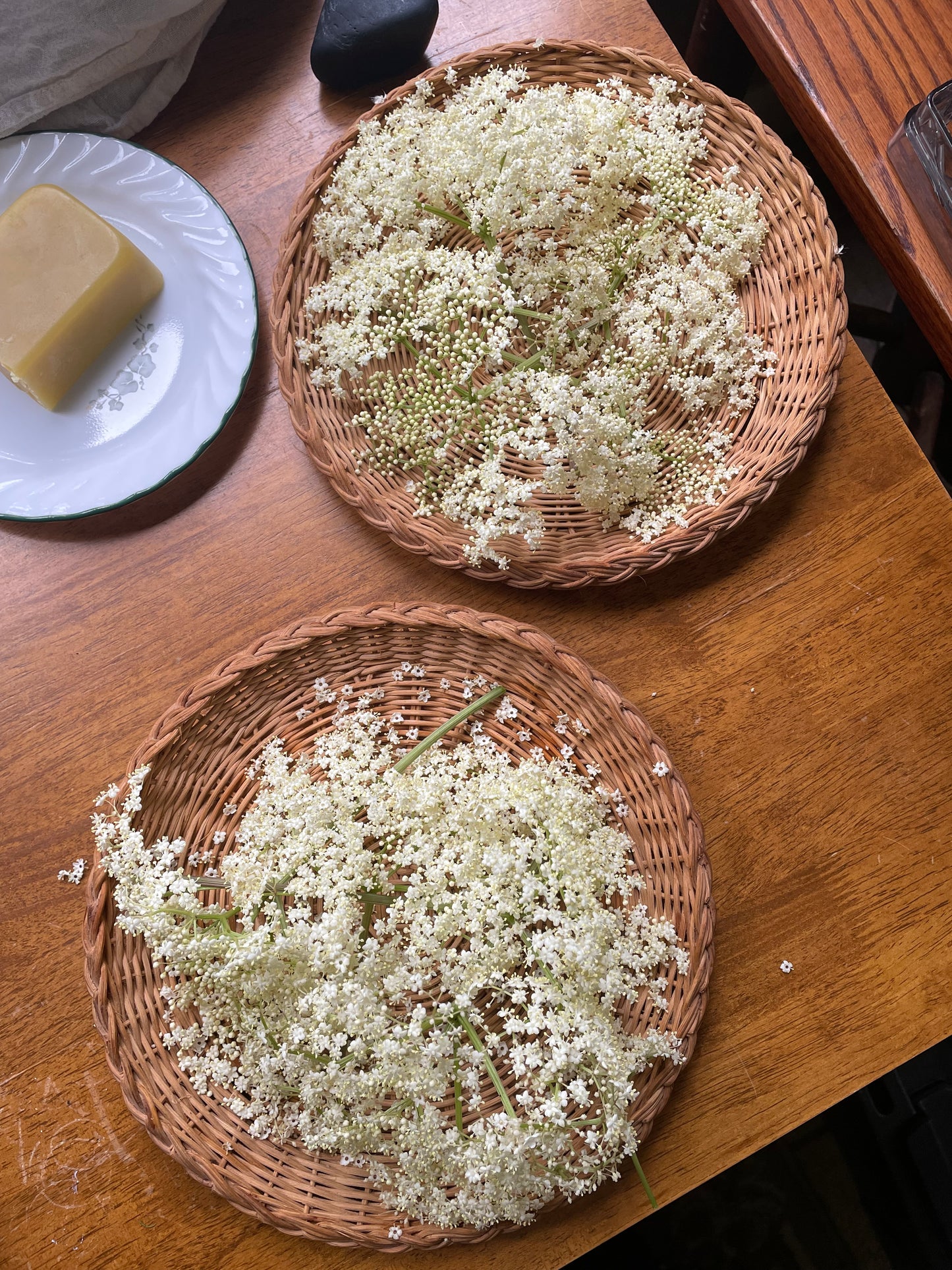 Wild Cherry Bark & Elderflower tincture