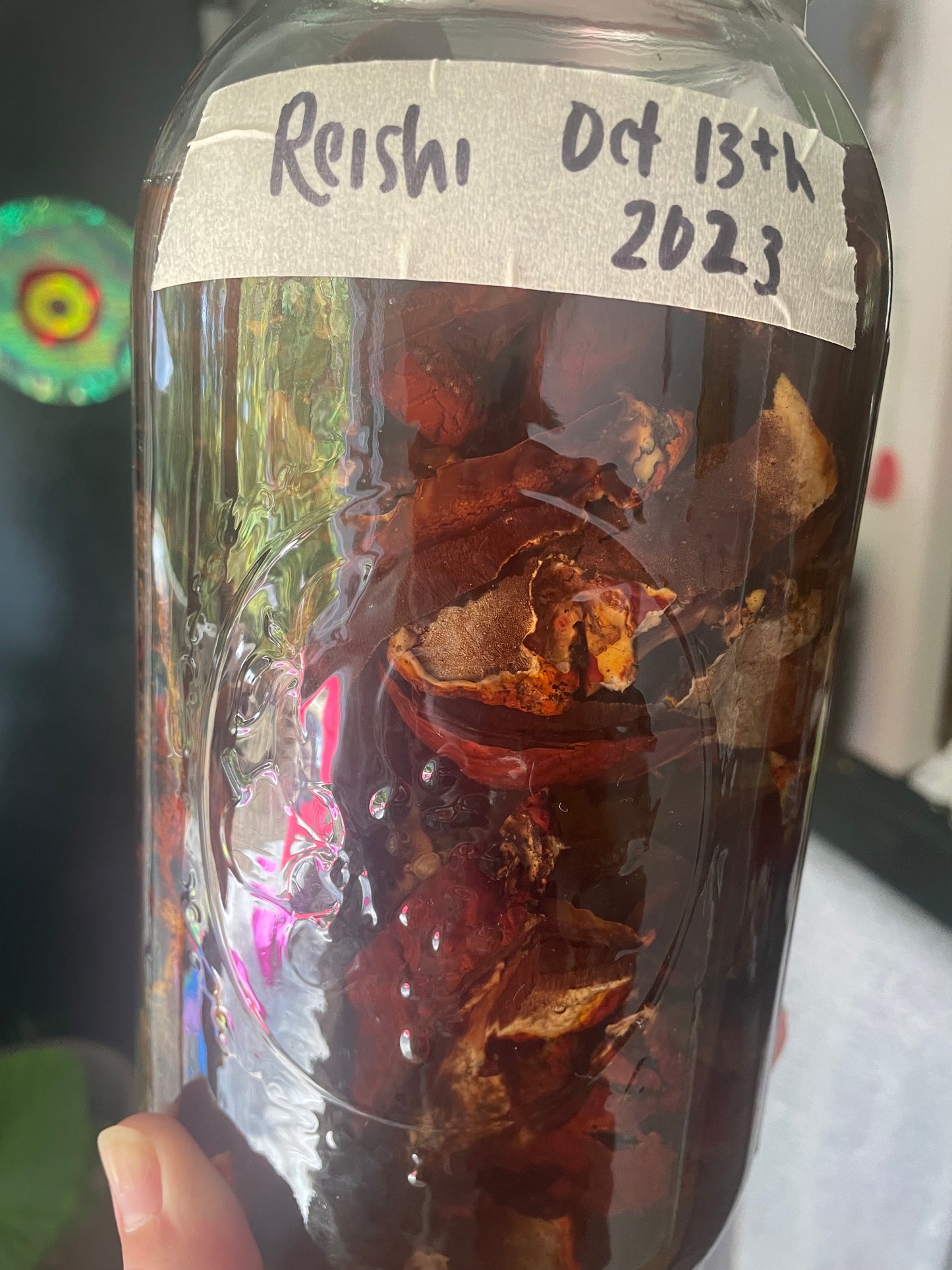 Reishi Dual Extract